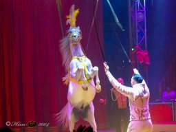 Circus Alex Kaisert am 1. Mai 2026
